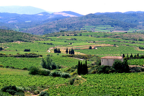 The wine country of the Corbières