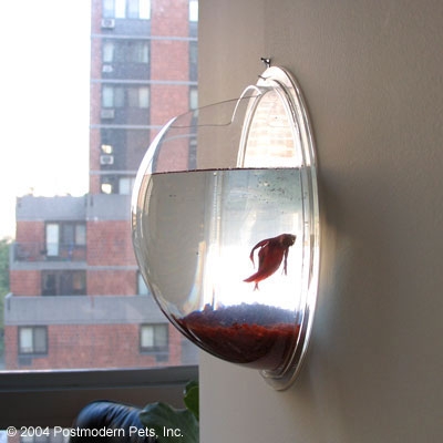 Hanging Fish Pod