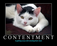 Contentment Is...