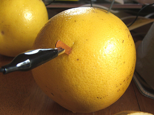 grapefruit-1-jpg