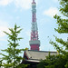 Zojo Ji Temple and Tokyo Tower
