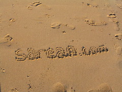sarean.com  logo