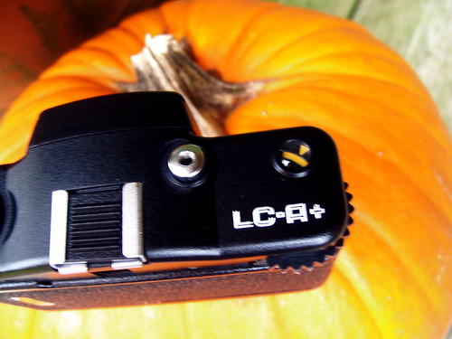 Cable Release Detail With Pumpkin