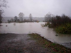 flood_Picture 010