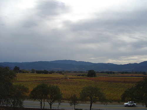 View from Miner winery