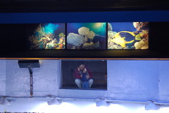 Ah Mah holding me up at the Aquarium