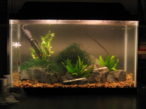 Shrimp tank