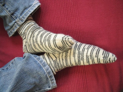 son's zebra socks