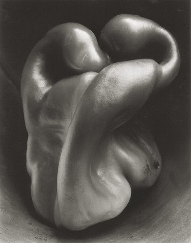 Edward Weston  - Pepper 1930