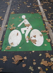 Paris cycle lane - photo from psd on flickr