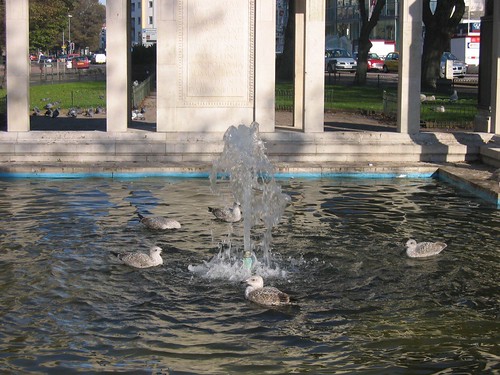 Seagulls at the War Memorial, Brighton