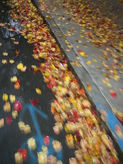 fall on the road