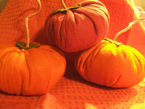 wooly pumpkins