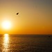Ibiza - sunset island spain europe ibiza parasaili