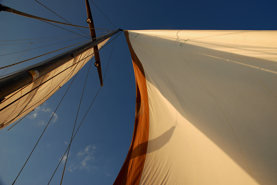 the sails