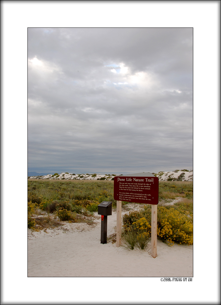 White Sands Dune Life Nature Trail sign
