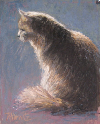 Equal Time (Cat in Sunlight) - 8 x 10" Pastel