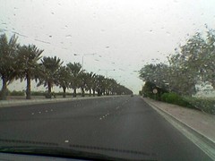 Wet Roads