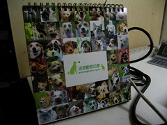 流浪動物花園桌曆