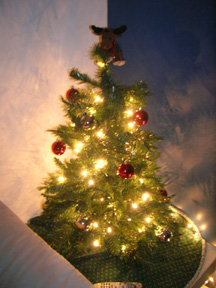 Our Christmas Tree - 2006