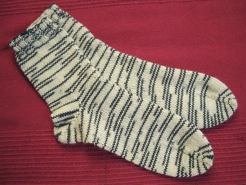 son's zebra socks FO