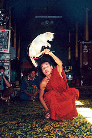 a-monk-holds-a-hoop-while-a-cat-jumps-through-at-nga-phe-kyaung-commonly-known-as-the-jumping-cat-monastery-mya038