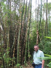 1465 Kelly at bamboo garden