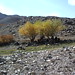 Our Picnic Spot Shandur Pass