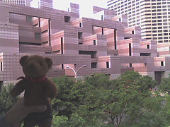 好奇怪的建築物呦！小熊看不懂耶！