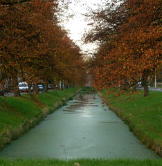 Fall Canal