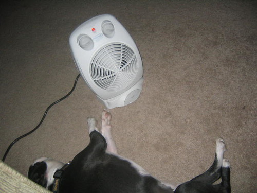 Tanner loves the space heater