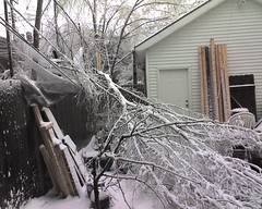Winter storm in St. Louis damage