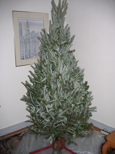 Christmas Tree Before