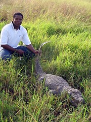 Me and the Crocodile