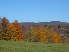 Vermont Fall Field