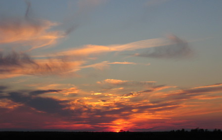 crex meadows sunset.jpg