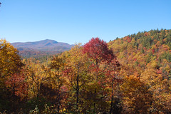 Fall Panorama