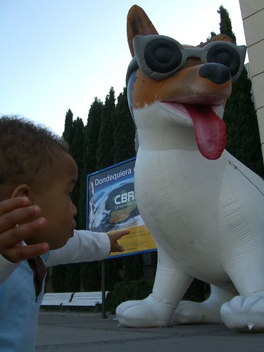 Z and the Giant Dog
