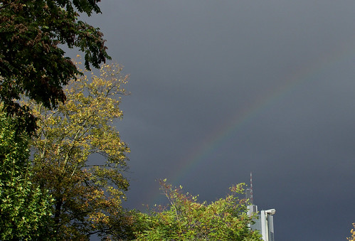 Regenbogen über Mainhatten