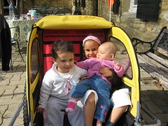 Babies in a buggy