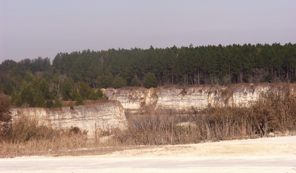 Limestone Quarry in Alachua County, Florida, View 1
