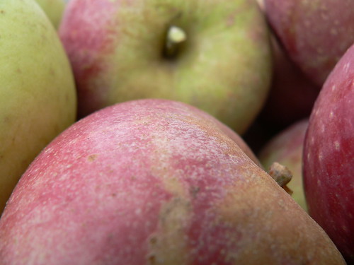 Close up apples