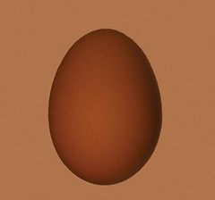 the-egg