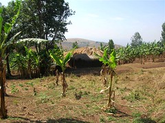 Burundi - Ruyigi FieldVisits 003
