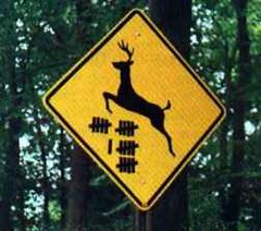 Redneck deer crossing
