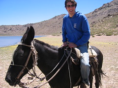 Ryan and his mule