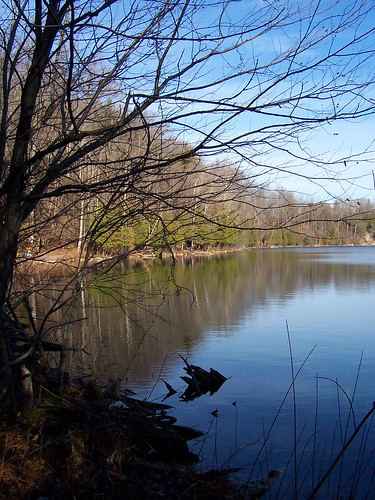 Lake in November