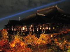 Kiyomizudera at night with a view of the deck and fall colored leaves