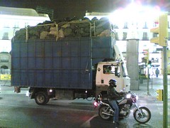 Huge trash load