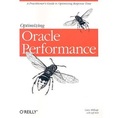 Optimizing.Oracle.Performance